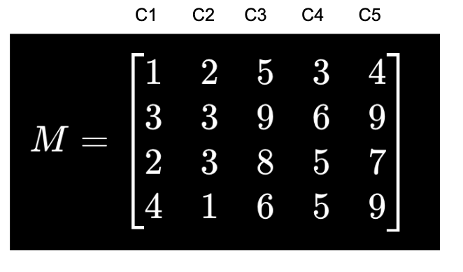 A 4 by 5 matrix M with columns labeled C1 through C5.