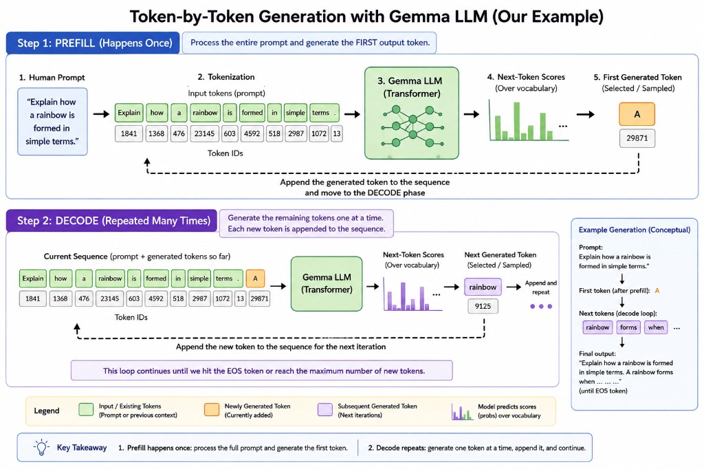 Token-by-token generation with a Gemma LLM: Step 1 Prefill processes the entire prompt and produces the first token A. Step 2 Decode repeats, appending each new token until the response is complete.